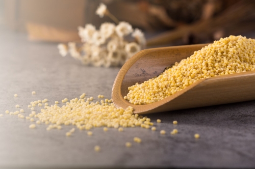 MILLETS - A GROUP OF MIRACLE GRAINS