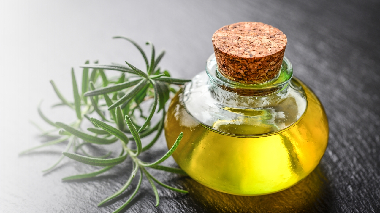 Benefits Of Rosemary Oils To Revitalize Hair And Skin Norex 0895