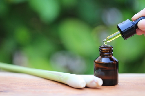 How to Extract Lemongrass Oil: Process, Benefits & FAQs