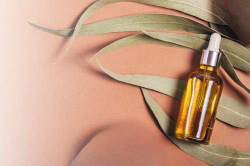 Powerful Eucalyptus Oil Uses for Health and Well-being