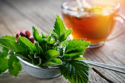 Mint for Health: Discover the Benefits of this Refreshing Herb