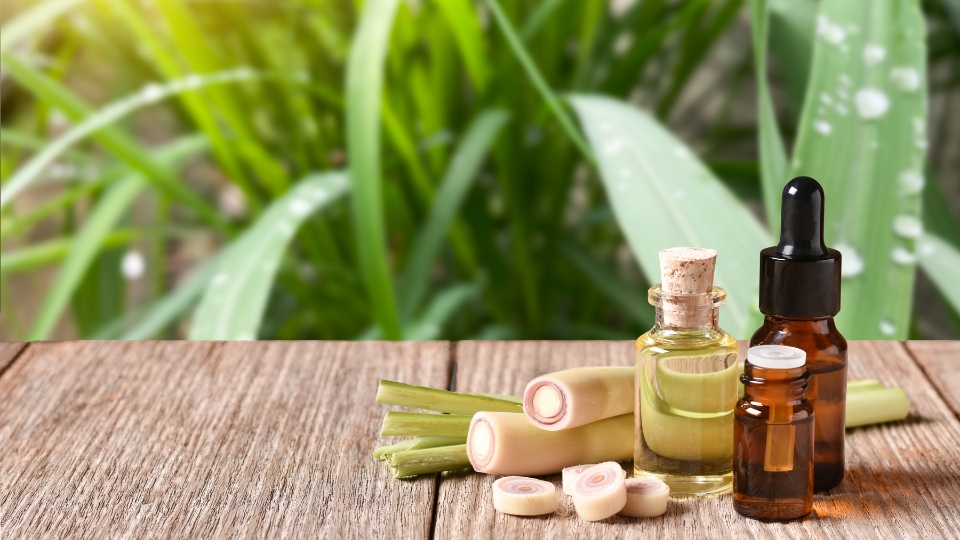 Lemongrass Uses: Culinary Delights, Medicinal Benefits & More