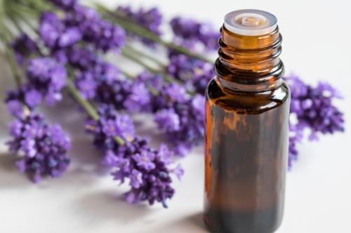 10 Benefits of Lavender Essential Oil: Health, Skin & More