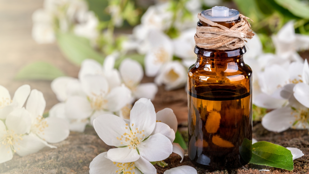 7 Benefits of Jasmine Essential Oil for Mind and Body