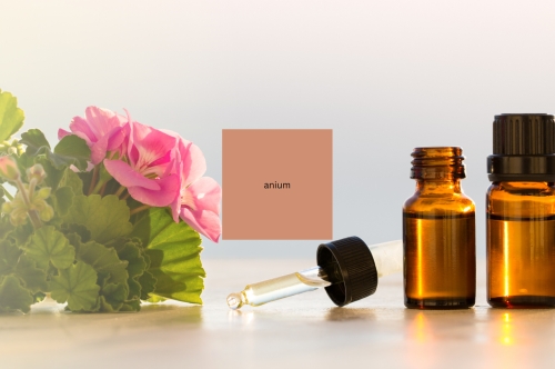 10 Benefits of Geranium Essential Oil Explained