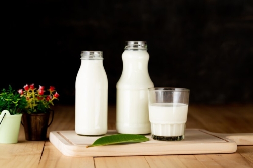 Milk Flavour in Food Manufacturing: Applications, Types and Sourcing Guide