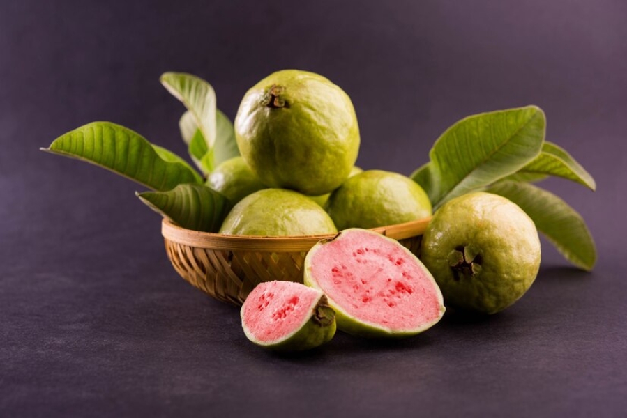 PINK GUAVA