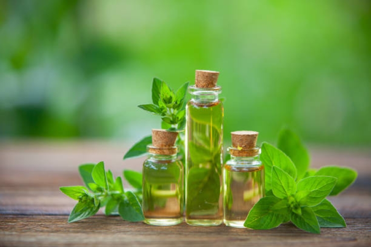 Oregano Oil NOREX