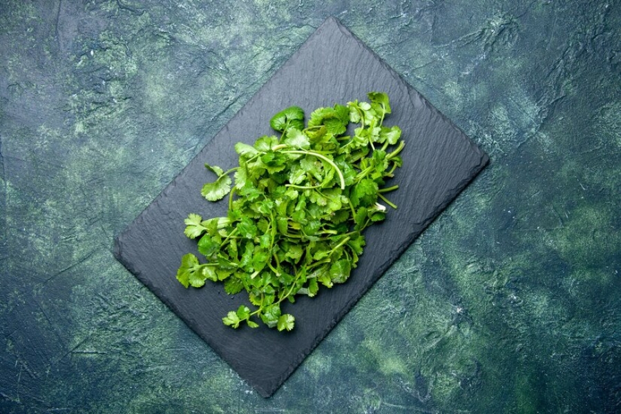GREEN CORIANDER