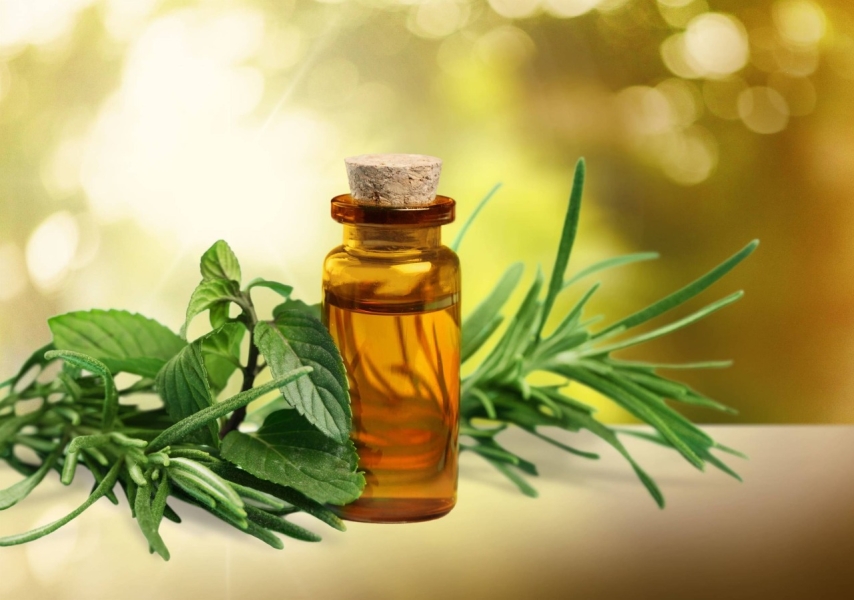 Tea Tree Oil