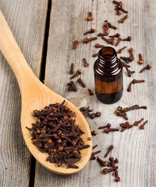 Clove Oil